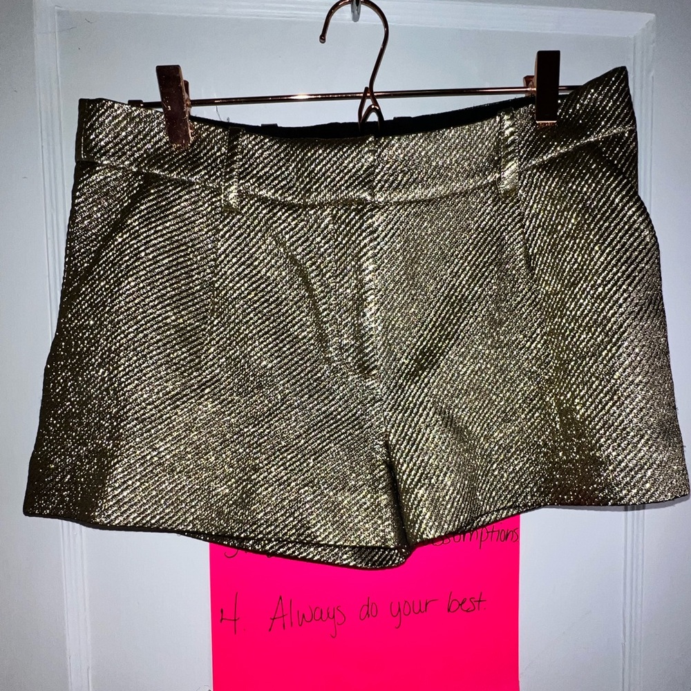 Diane Von Furstenburg shorts